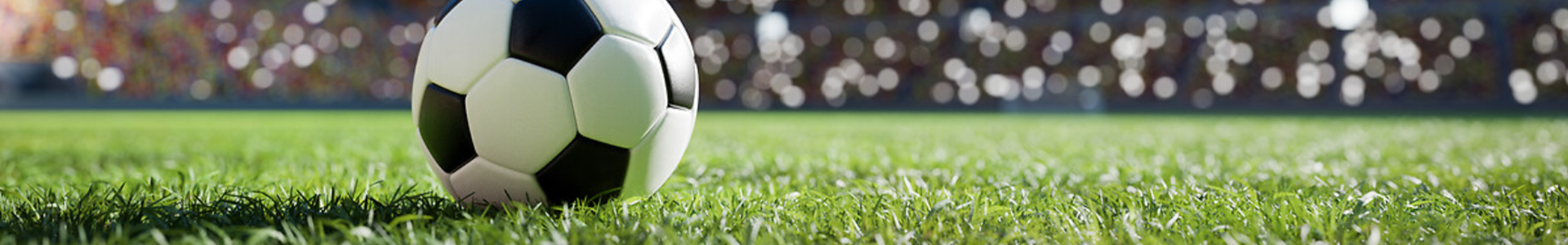 VOETBALWEDSTRIJD & STADION TOUR