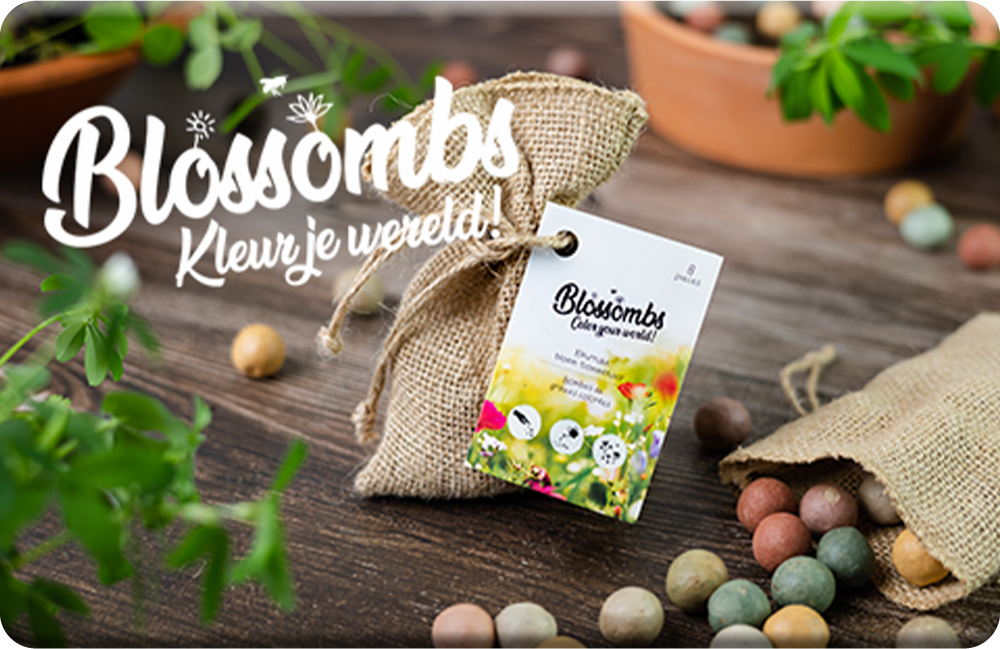 Blossombs