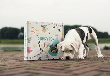 Snuffelbox